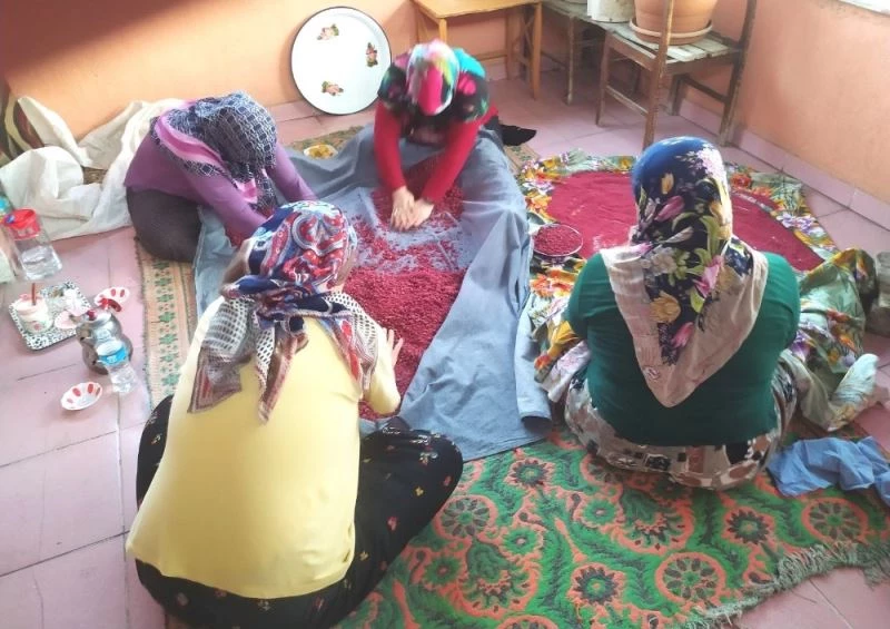 İmece usulü Kızılcık tarhanası yapımı
