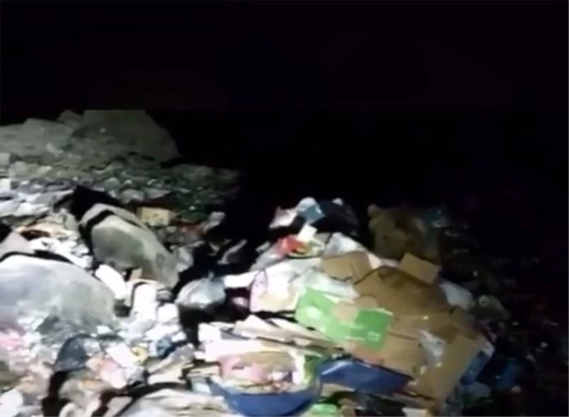 Aç kalan ayı ve yaban domuzu çöplüğü mesken tuttu
