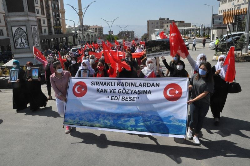 Şırnaklı kadınlar HDP binasına yürüyerek kan ve gözyaşına ‘Edi bese’ dedi
