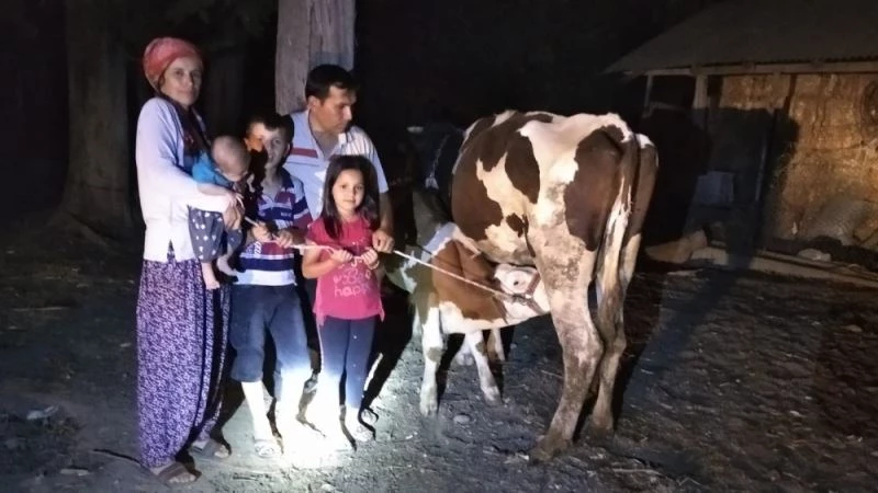 Çalınan inekler sahiplerine jandarma operasyonuyla kavuştu

