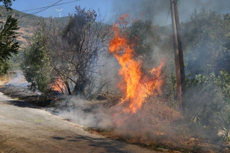 Güllübahçe’de Yangın Yürekleri Ağızlara Getirdi
