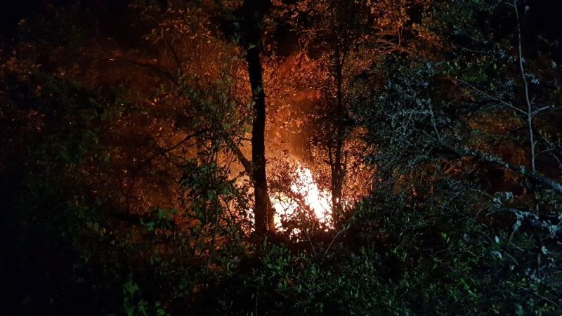 Karabük’teki orman yangını kontrol altına alındı
