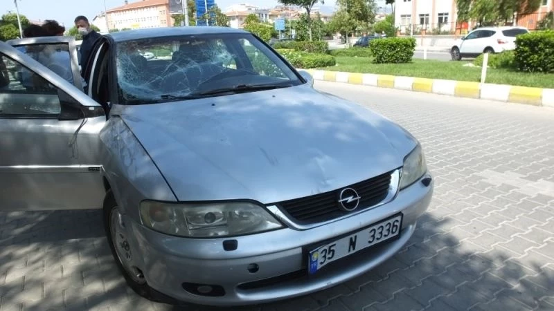 Burhaniye’de meydana gelen kazada yaralanan at uyutuldu
