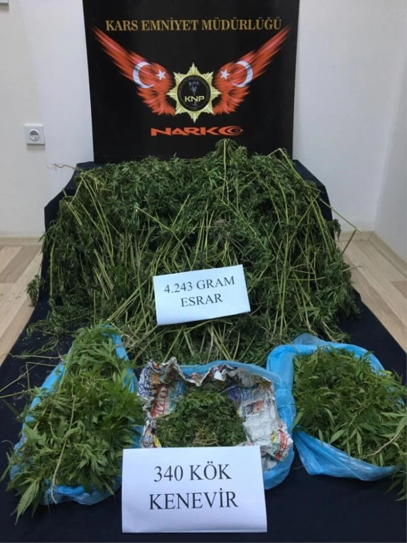 Kars’ta 4 kilo 243 gram esrar ele geçirildi

