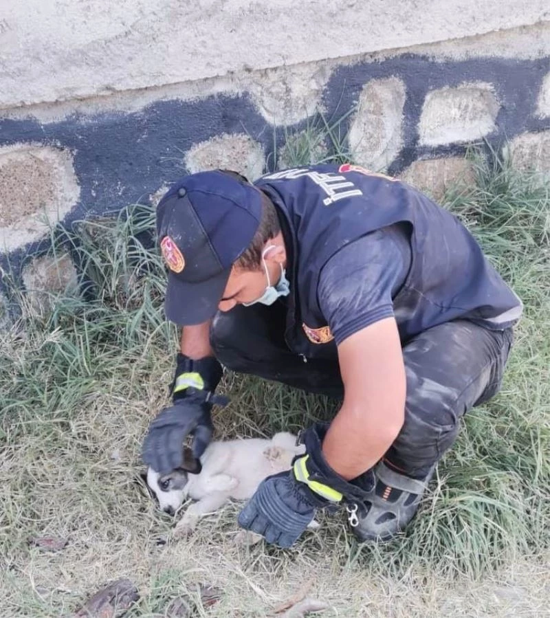 Rögara düşen yavru köpeği itfaiye ekipleri kurtardı
