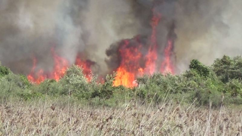 Kızılırmak Deltası’nda yangın devam ediyor
