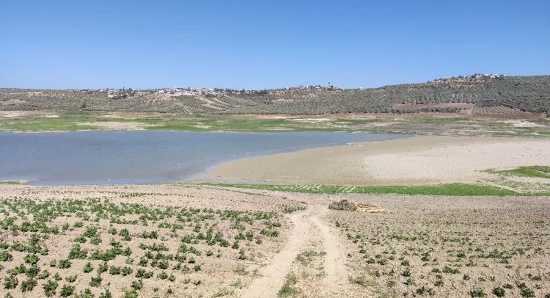 Yarseli Göletinde sular çekildi
