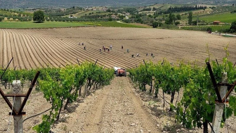 Salihlili fotoğrafçı, 3 ödül birden kazandı
