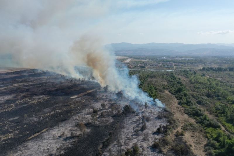 Kızılırmak Deltası’nda çıkan yangınla ilgili soruşturma sürüyor
