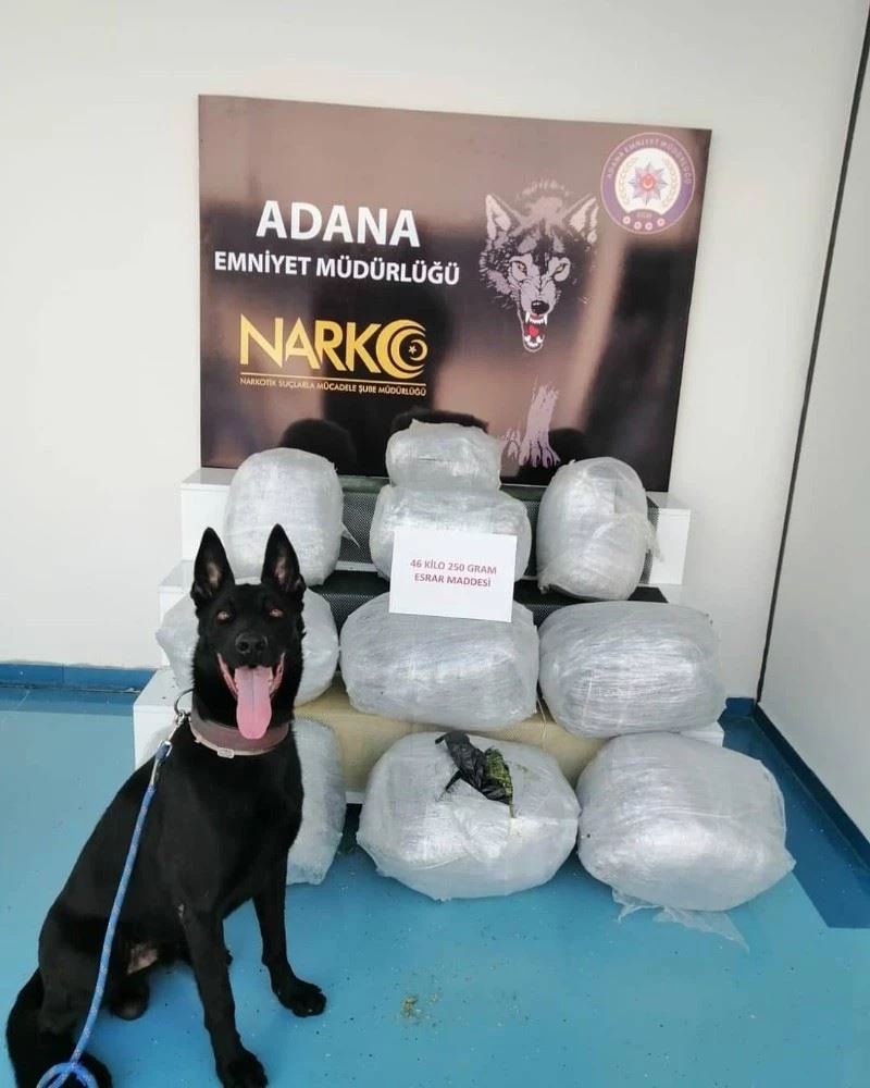 Tır yatağından 46 kilo 250 gram esrar çıktı
