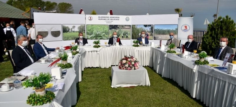 Kenevir endüstrisi OMÜ’de masaya yatırıldı
