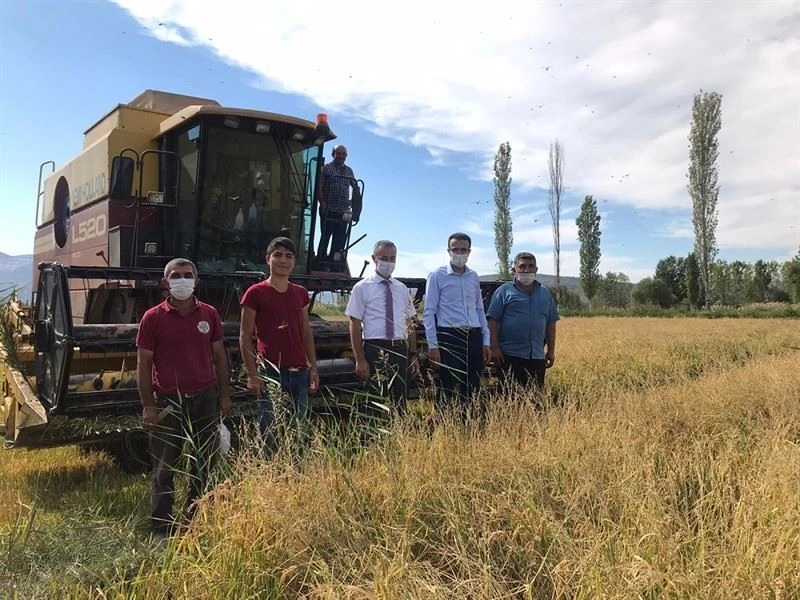 Kaymakam Akpay çeltik üreticilerini dinledi
