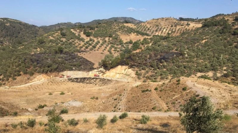 Şiddetli rüzgara rağmen zeytinlik yangını büyümeden söndürüldü
