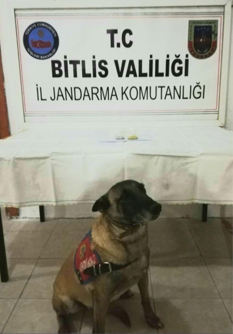 Bitlis’te Metanfetamin ele geçirildi
