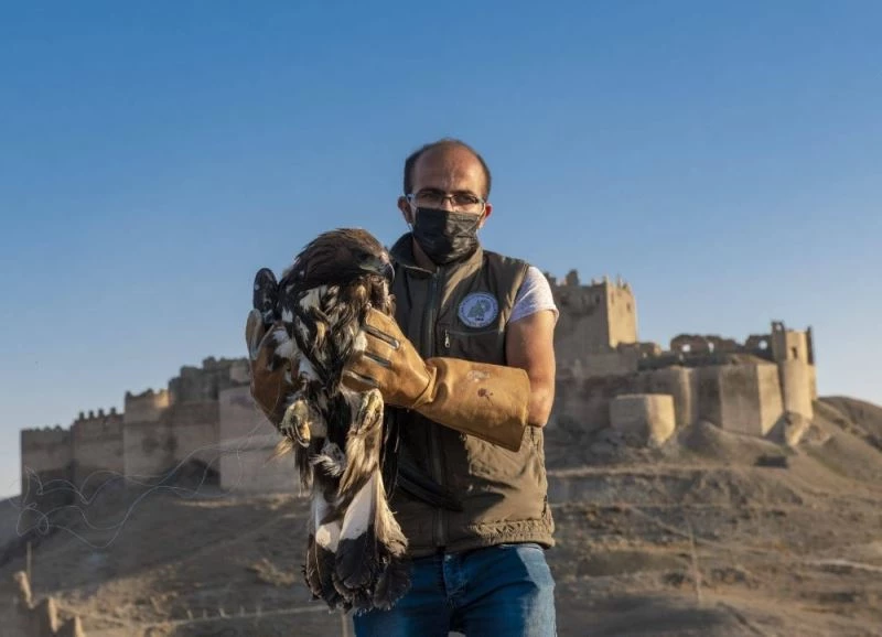 Tedavisi tamamlanan Kaya Kartalı özgürlüğüne kanat açtı
