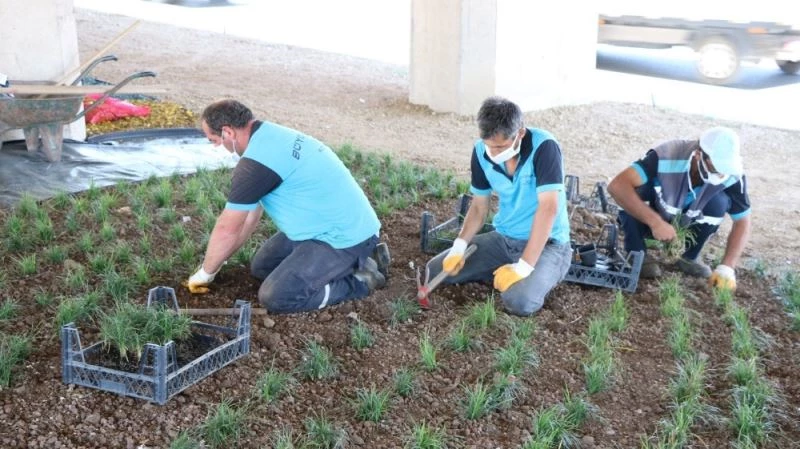 Başkiskele sanayi köprülü kavşağı renklendirildi
