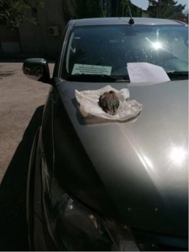 AVBİS’ten kota almadan ve ördek avlayan 4 avcıya 6 bin 447 TL idari para cezası
