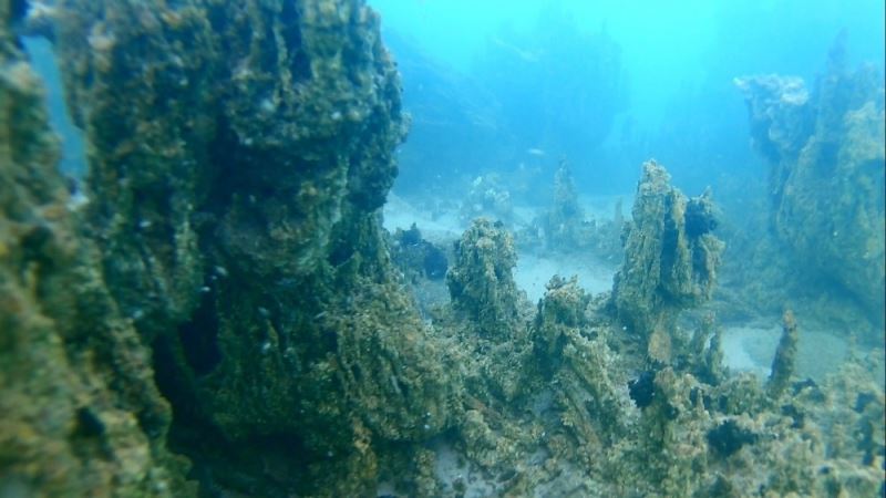 800 bin yıllık geçmişe sahip Van Gölü’nün derinliklerindeki kalıntılar gün yüzüne çıkartılıyor
