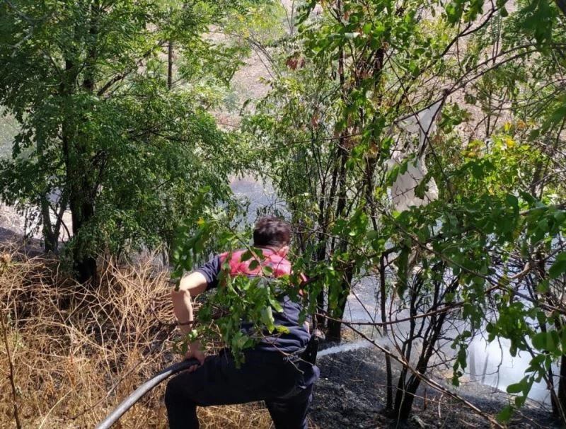 Araçtan atılan izmarit yangına neden oldu
