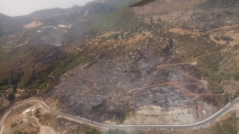 Atay Uslu: “Adrasan’da yanan yerler  ağaçlandırılacak. Konunun takipçisiyiz ”
