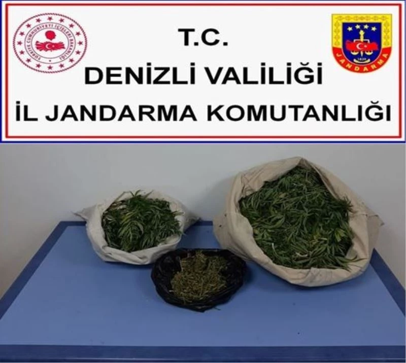 Arazide uyuşturucu kurutmaya çalışırken jandarmaya yakalandılar
