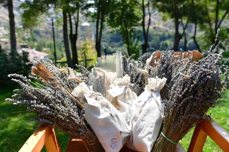 Türkiye Kooperatifler Fuarı’nda Mamak Standına yoğun ilgi
