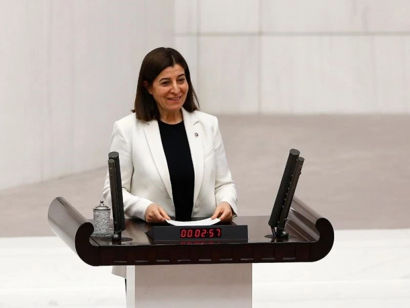 Edirne, kadına şiddeti önlemede pilot il seçildi
