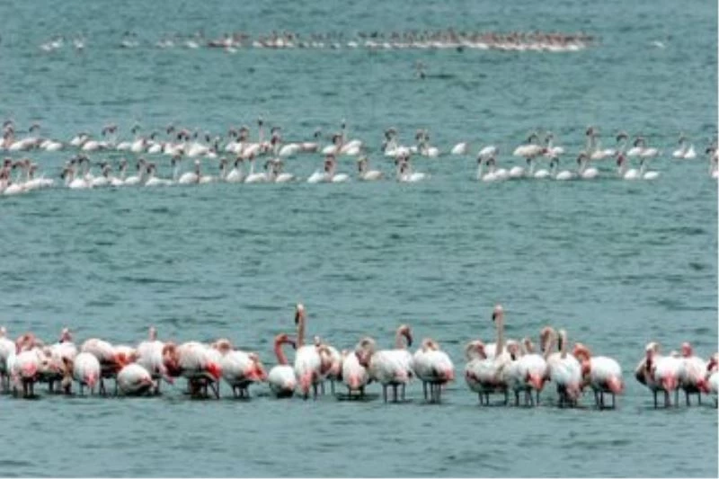 Bakanlık, Cumhurbaşkanı Erdoğan’ın imzasıyla ‘Kesin Korunacak Hassas Alan’ statüsüne alınan bölgeleri paylaştı
