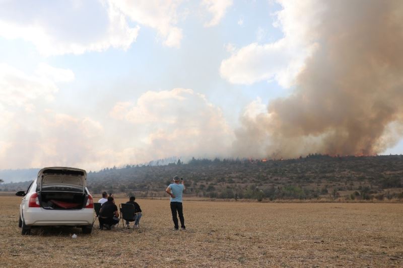 Bolu’da orman yangınına müdahale sürüyor
