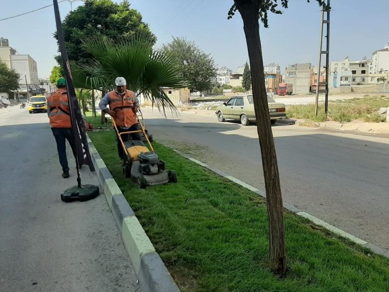 Kilis’te caddelere son bahar bakımı
