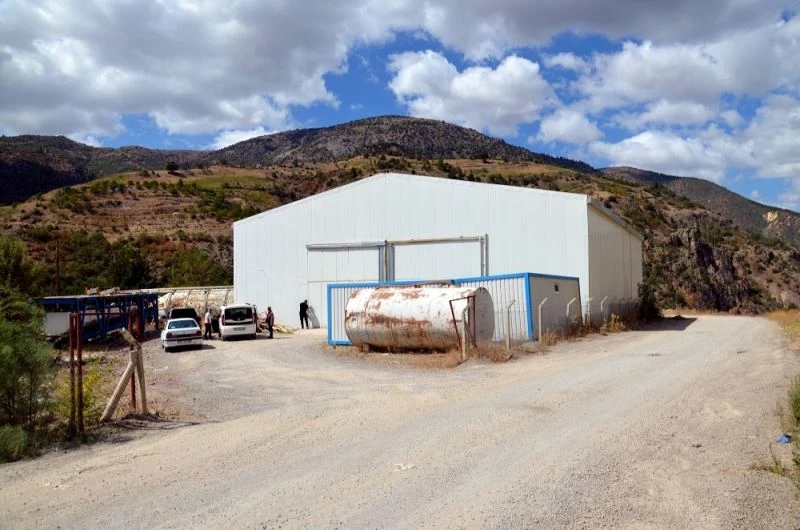 Oğuzlar’a ceviz işleme ve paketleme tesisi kuruldu
