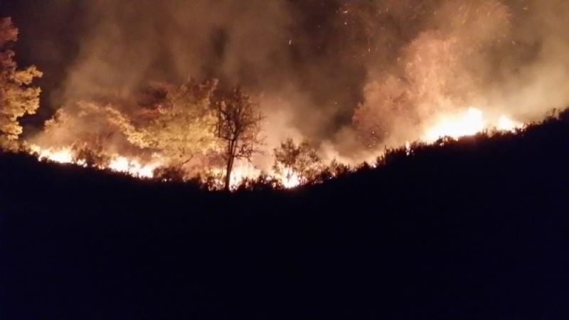 Düzce’de orman yangınına müdahale sürüyor
