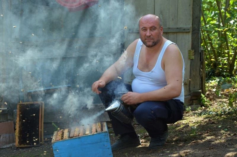 Ordulu çılgın arıcı, gömleğini çıkarıp arıların arasına daldı
