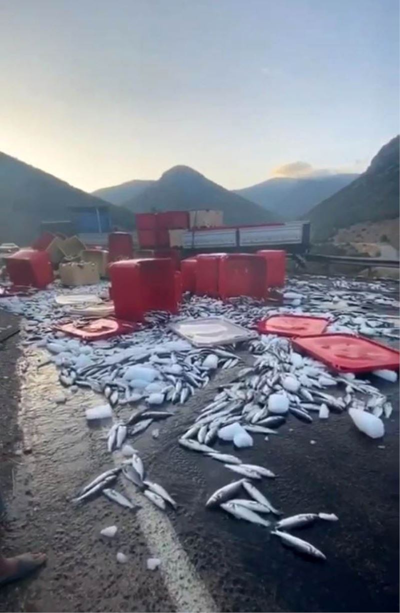 Dorse kapağı açıldı, tonlarca balık yola savruldu
