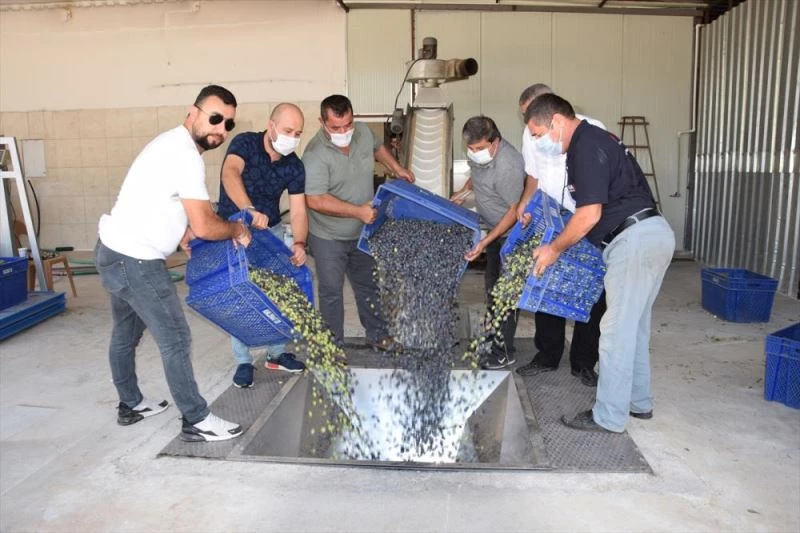 Kumluca Ziraat Odasının zeytin yağı fabrikasında deneme üretimine başlanıldı
