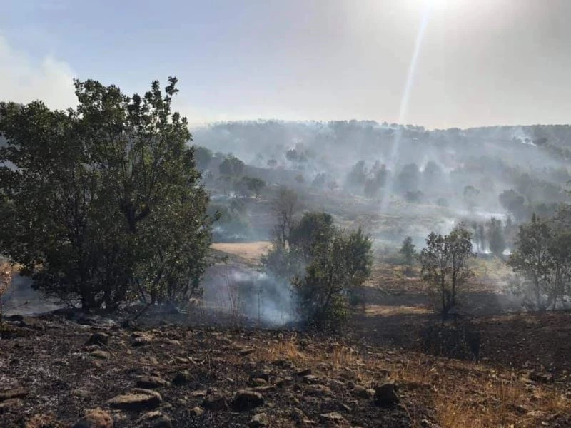 Arıcak’taki orman yangını söndürüldü
