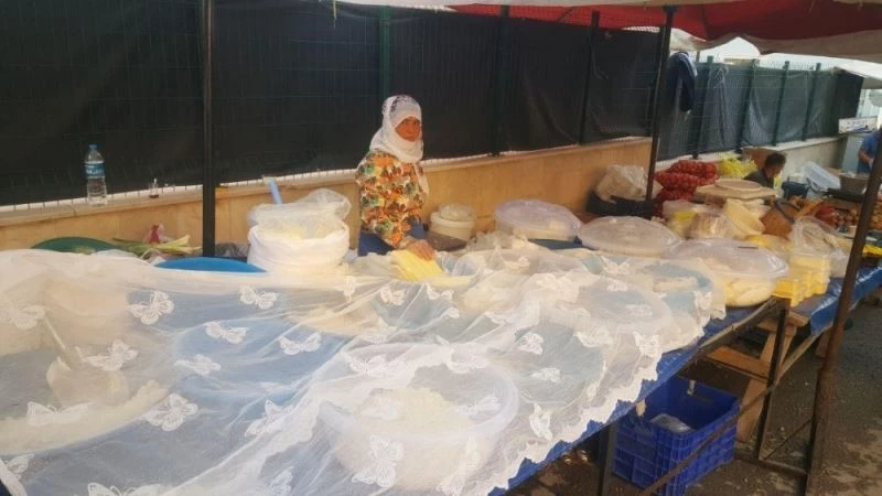 Organik ürün satarak 3 çocuğunu okuttu
