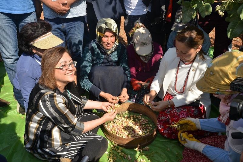 Uluslararası Gastroantep hasat günleri bu sene dijital ortamda
