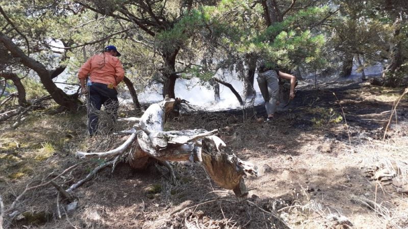 Amasya’daki orman yangınında 2 gözaltı
