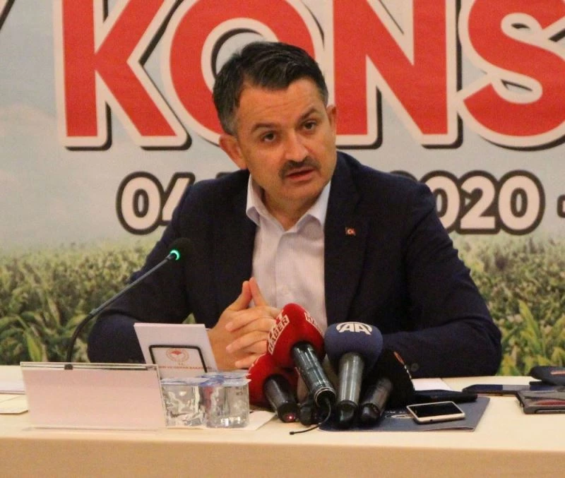 Bakan Pakdemirli: “Bu musibet (Pandemi) bir hayır da getirdi; Paramız ülkemizde kaldı şuan çayın kalitesi arttı”
