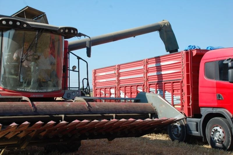 86 gün yağışsız kalan ayçiçeğinde verim düştü
