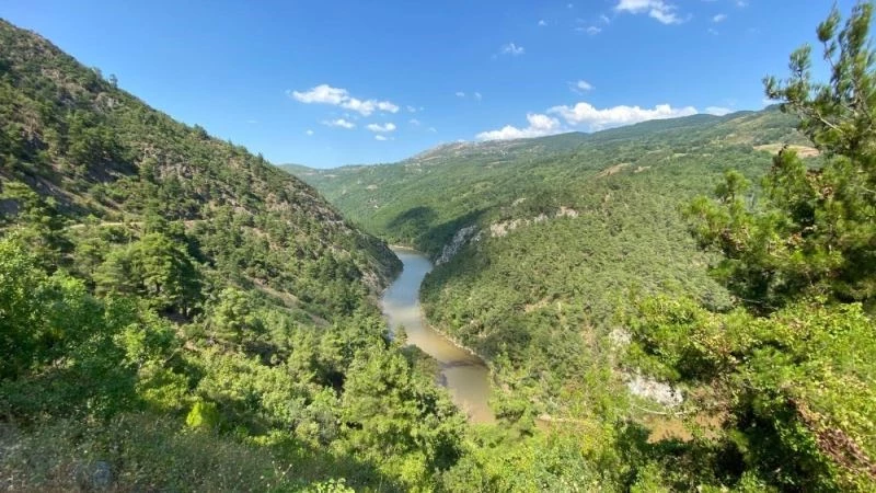 17 yaşındaki genci öldüren özçekim
