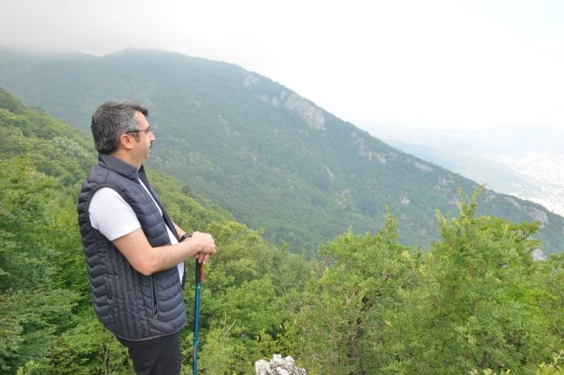 Yıldırım yeşil kimliğine kavuşuyor
