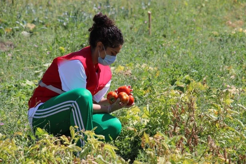Denetimli serbestlikte yetiştirdiler, ihtiyaç sahiplerine gidiyor
