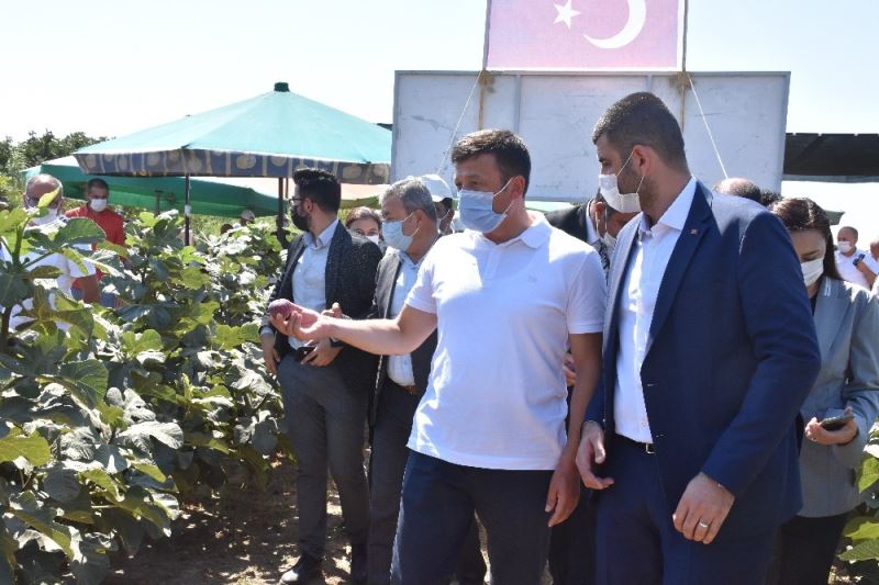 İzmirli çiftçi, Türkiye’de ilk kez 