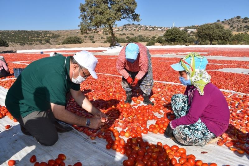 Başkan Çerçi Pelitalan’da üreticileri dinledi
