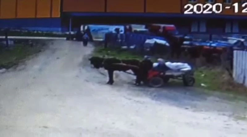 At arabasıyla 4 ton demirin çalındığı anlar kamerada
