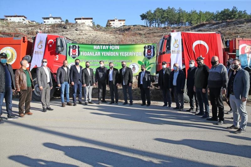 Beşiktaş Kulübü, Hatay