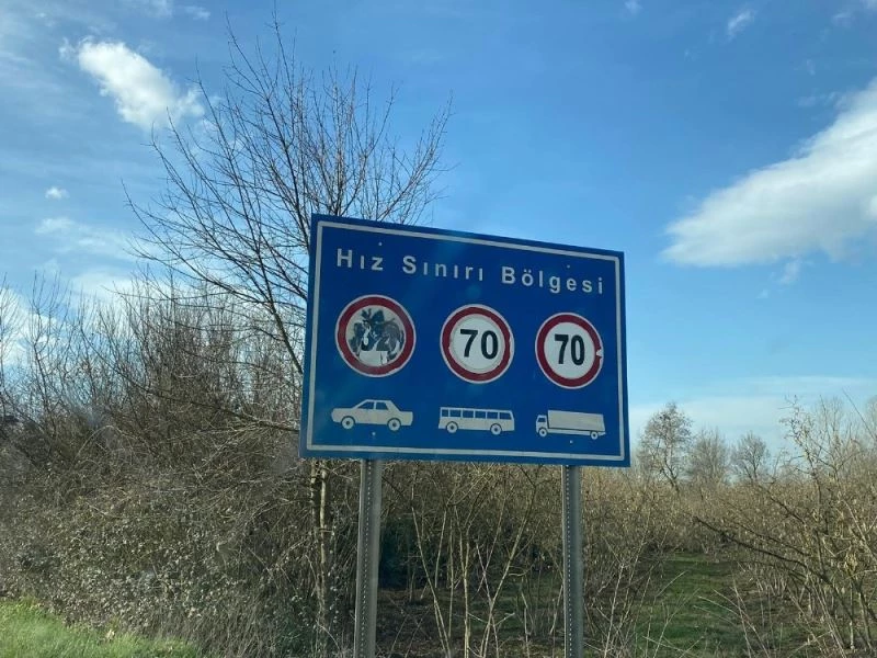 Magandalar EDS tabelasını hedef aldı
