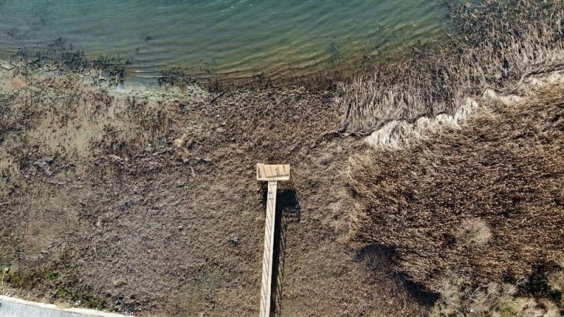 Sapanca Gölü can çekişiyor
